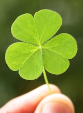 four ways to make luck work