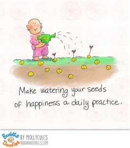 seeds of happiness