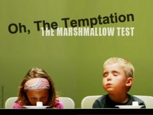 marshmallow-test (1)