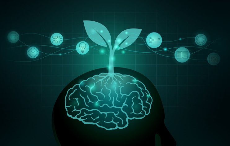 Cartoon drawing of a human brain with a plant growing out of it and small icons denoting different thoughts