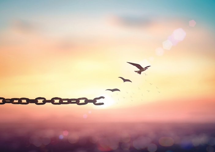 Photo of a chain with the last link broken and birds flying from the end of the broken link