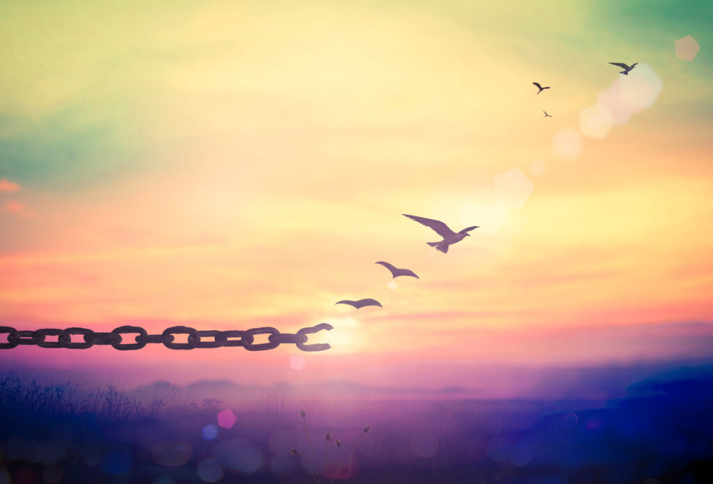 Silhouette of bird flying and broken chains at beautiful mountain and sky autumn sunset background