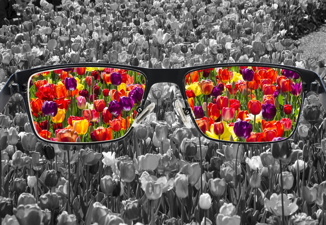Through glasses frame. Colorful view of colorful tulips in glasses and monochrome background. Different world perception. Optimism, hopefulness, mental health concept.